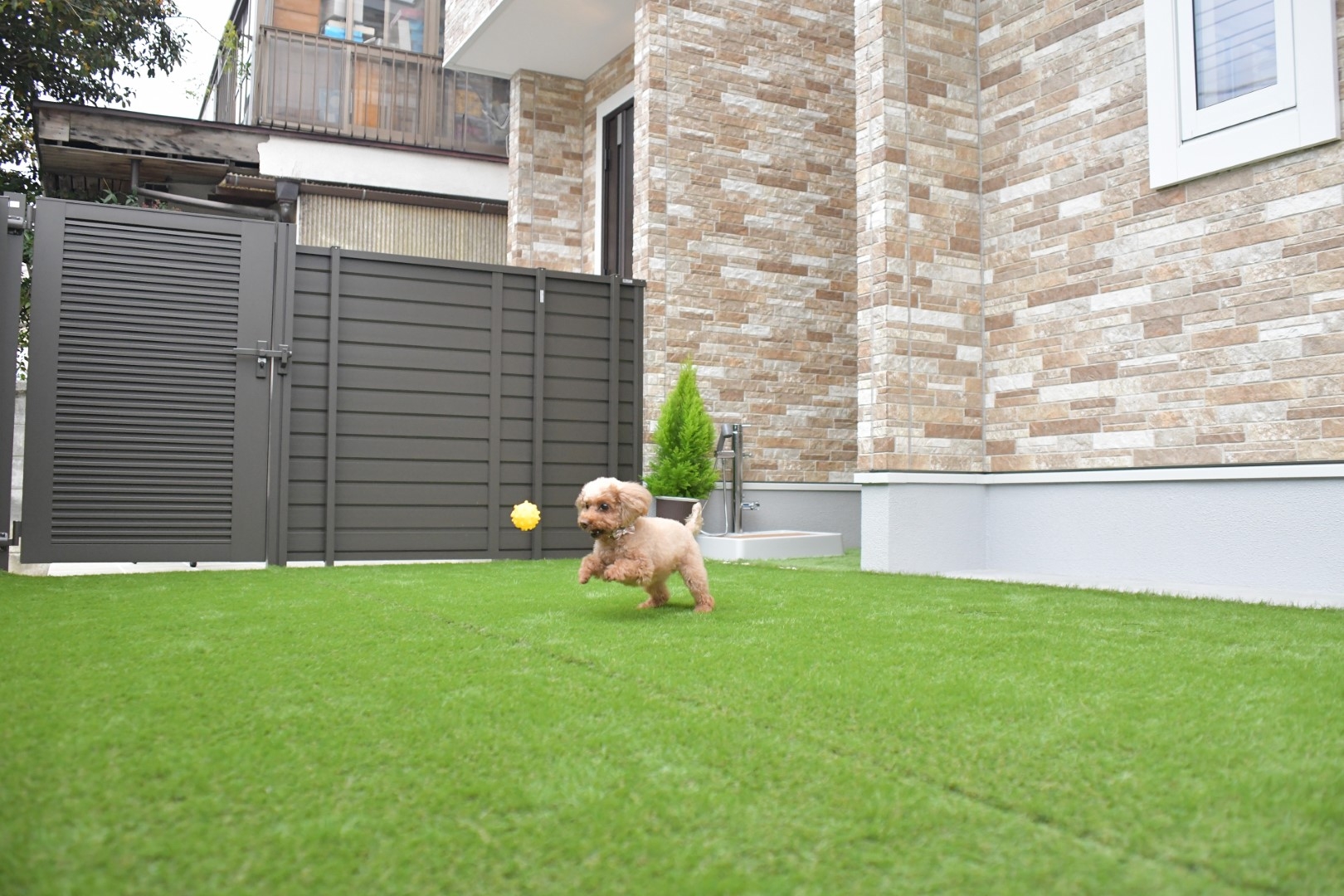 提供：ペットライフスタイル株式会社 (7).jpg