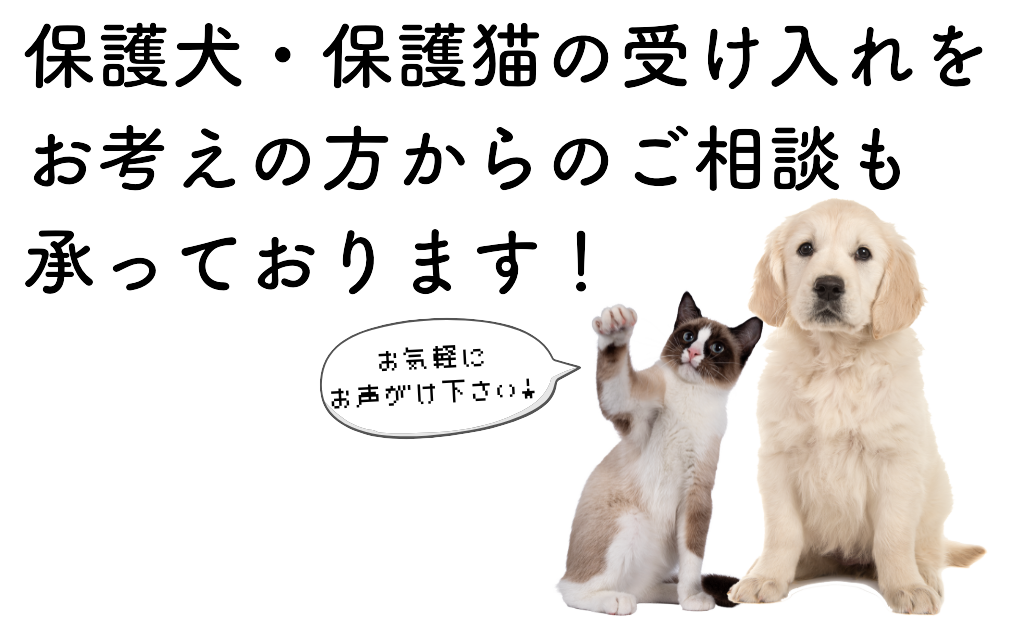 １回のペットのお留守番時間保護.png